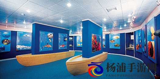 二次元打扑克剧烈运动游戏|动画人物激情比拼卡牌运动-2