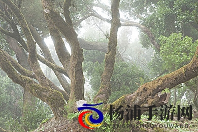 巨爆乳一区二区爆乳区|巨大丰盈的专区激情无限-2