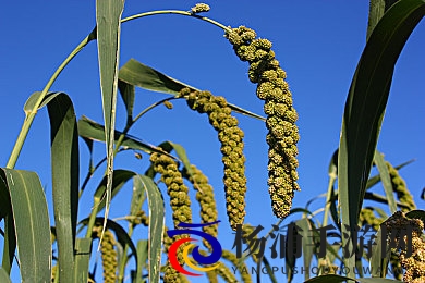 日韩欧美一卡二卡|跨境通信新时代的无限可能-1