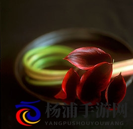 涩涩99|炫彩精彩体验九十九平台-1