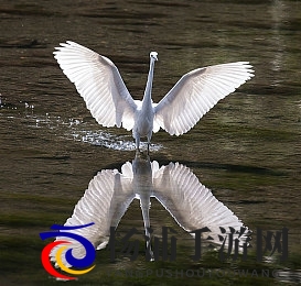 一个好妈妈8个字|成为优秀母亲只需这几个简短字-3