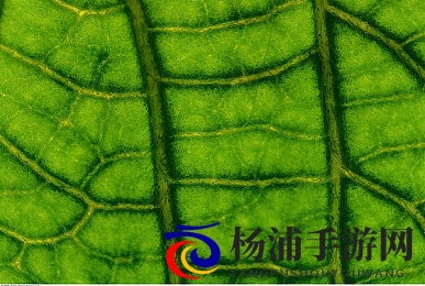 富二代成人版|豪门子弟的成熟人生体验-3