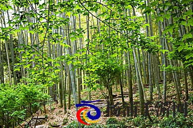 农民工村老妇奶BBWBBw|农村老人网络新风尚引发社会关注-2