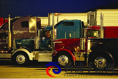 欧美黑人|欧洲与北美地区的非洲裔群体-3