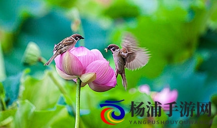 色一区二区|多彩内容展示平台-3