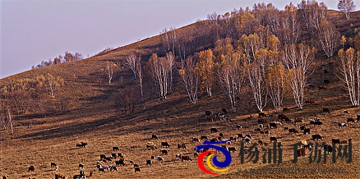 丰满少妇被猛烈插入|女性权益与身体自主权的社会责任-1