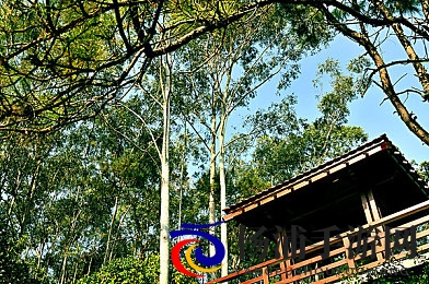 和军人男友第一次啪啪|军人爱情中的深情与坚守