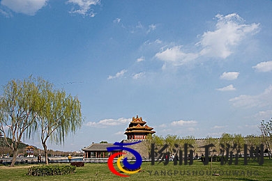 3DXXXx动漫魅魔XXXXx|沉浸式魔幻体验开启未来动画新纪元-1