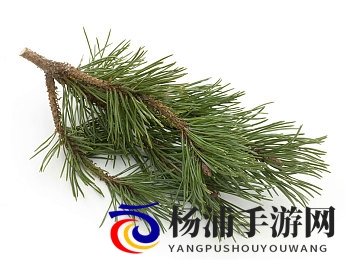 黄色软件下栽|禁止黄毒程序非法传播-2