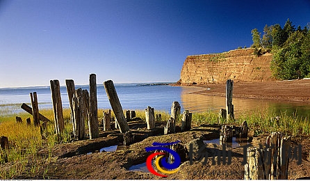 爽 好大 奶出来了漫画|激情四溢的巨乳漫画尽情享受-1