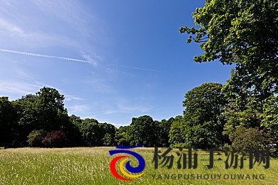 公与淑婷厨房猛烈进出69|创新互动场景引领游戏新潮流-2