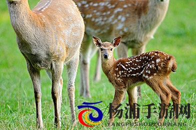 男生和女生一起差差差软件|新潮互动平台引领移动社交新风尚-3