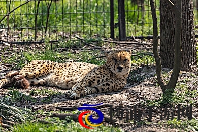 17人但人文艺术|十八位雅士展现人文魅力-2