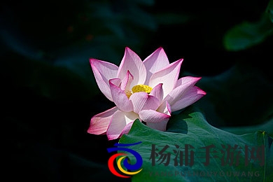 juliaann女教师在办公室|教育榜样的职业魅力揭秘-3