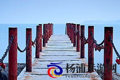 张津渝|重庆的年轻书法家之旅探索-1