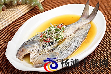 搡风流老太胖泬BBWWBBWw|多元社会中的文化包容与自由探索