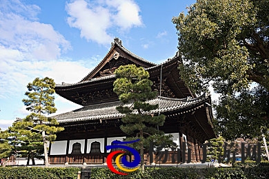 DD4男男安装包免费|免费下载DD4男男软件安装包-3