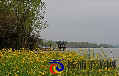 夜间十大禁用软件|守护深夜睡眠的健康秘笈-2