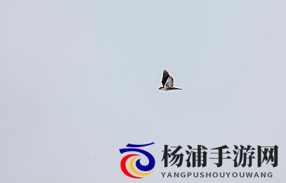 两个男人吃我胸|两位男子品尝我的乳房-2