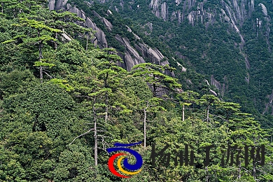 不知火舞和三个小男孩漫画|经典IP焕新之旅引领多元素融合-1