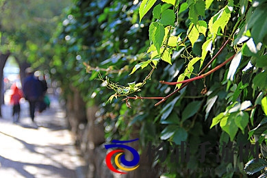 阿娇与冠希13分49秒的背景故事|明星情缘十三分钟四十九秒的秘密-2