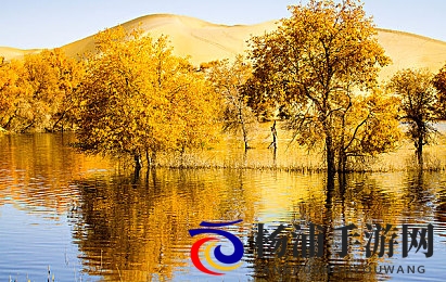 石原莉奈被强制69XX|网络隐私事件引发伦理与法律讨论-3