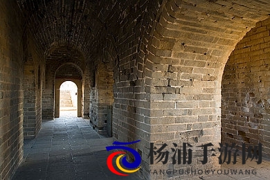 人猿泰山1995出版|猿族英雄1955年发行记忆-3