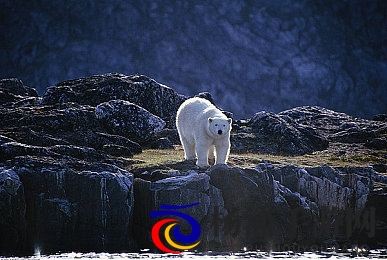 一个好妈妈4字中头强华驿金|贤惠母亲四字展现美丽风采-3