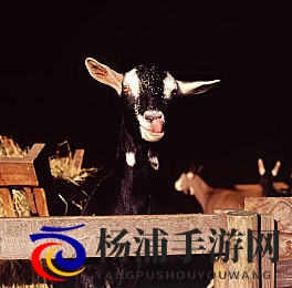 美女和男人肌肌对肌肌|佳人与男士肌肤亲密接触体验-2