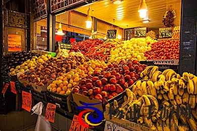 日本体内she精4╳╳╳|未来生命科技新突破引领健康变革-1