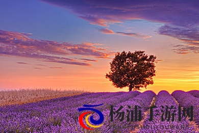 男生和女生一起拆拆很痛|创新玩法引领合作新潮流-2