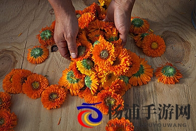 天天射天天干天天爽天天舔天天操天天射|激情狂欢尽享无尽欢愉体验-1