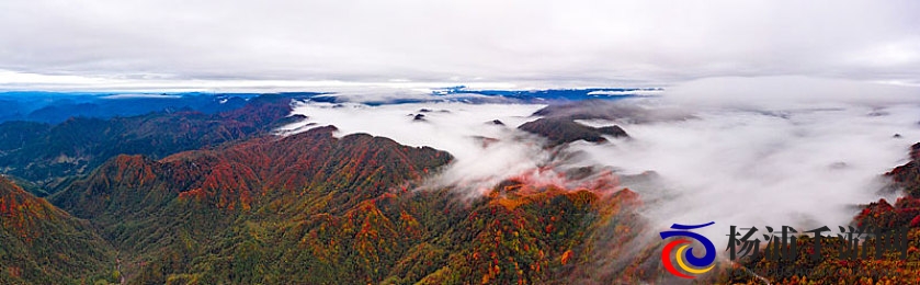 男生和女生做污污视频软件|数字娱乐泛滥背后的隐私风险与未来趋势-2