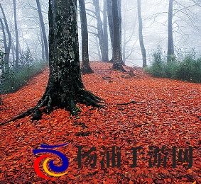 天上人间动漫网|动漫产业新趋势引领未来精彩纷呈-3