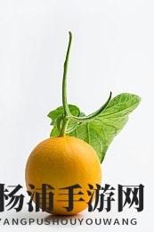 五月情婷婷|初夏花影轻盈舞动-1