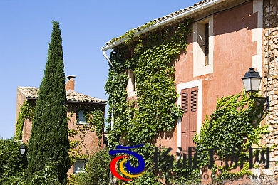 巨大3d怪物无尽精灵宝可梦|庞大虚拟兽无尽幻想精灵传奇-1