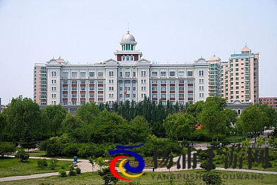 五月丁香六月停停|六月微风轻拂动力渐停-2