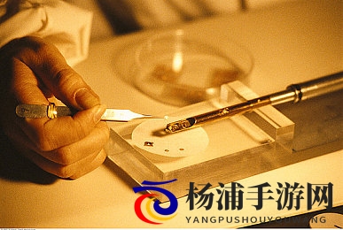 老牛嫩草aⅴ一区二区三区|成熟男士享受优质福利视频体验-3