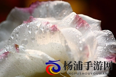 免费在线黄色软件|数字娱乐变革中的隐性危机-1