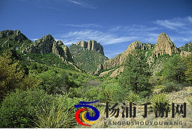 少妇69|年轻夫人拥抱激情的夜晚-3