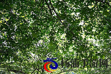 7277.TV艳女|精品影音平台中展现迷人女性的精彩内容