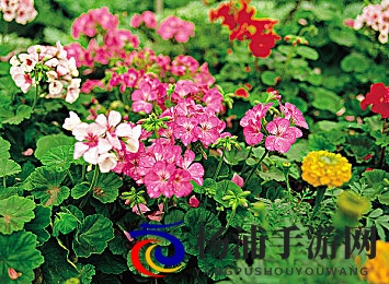 班长让我揉她 脱她衣服漫画|班级领袖请求我帮她解衣故事-3