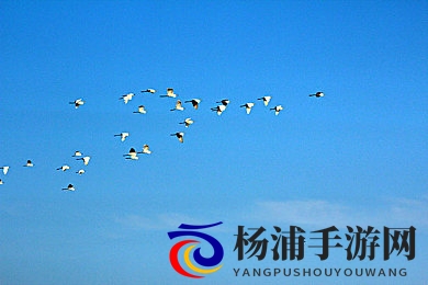 性少妇mdmS丰满4|激情少妇娇嫩丰盈四季描绘-1