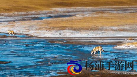 裸体软件下载|数字艺术新趋势保护隐私成为关键-3