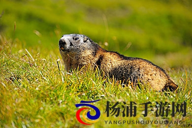 男人把困困放在女人困困|情感共鸣实现关系升级的重要法则-3