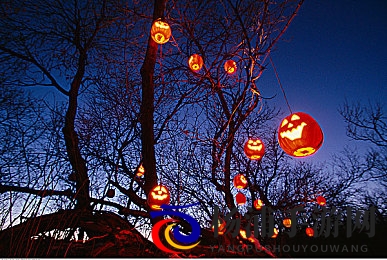 毛笔挠尿孔~快尿了|创新检测技术助力全民健康迈进-2