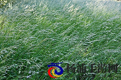 美女扒开胸罩秘 露出奶头的软件|精美女性展示肌肤的隐藏技巧软件-2