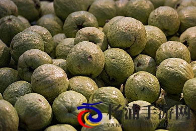 粉色视频APP苏州|苏州最新火爆影视平台推荐-3