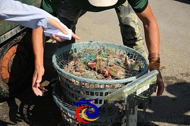 黑人异族巨大巨粗|非洲民族高大威猛壮观姿态-1