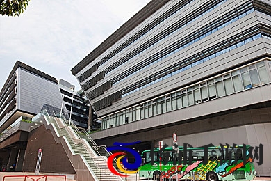 黄色直播软件|暗潮涌动的隐形直播行业未来发展-3